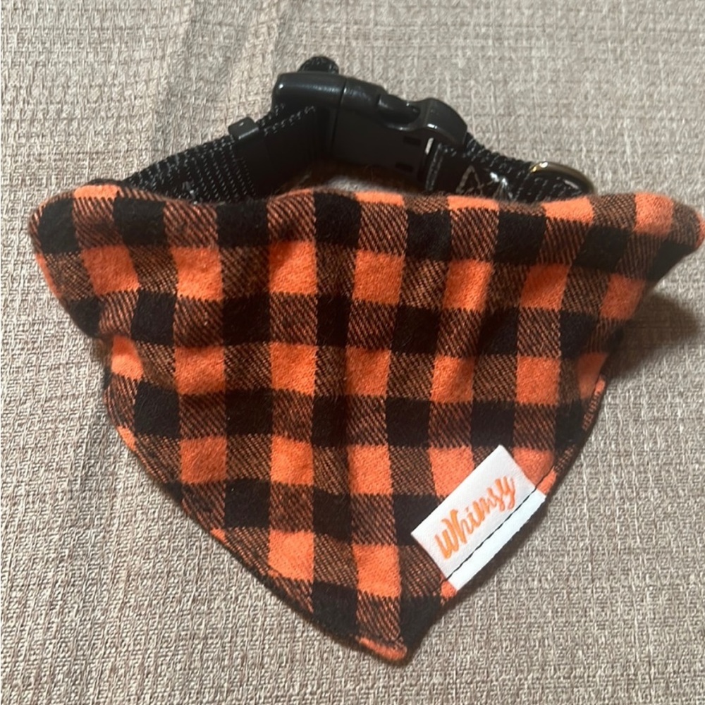 Fall October Halloween dog collar small